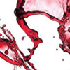 New Designs: image 6 0f 20 thumb